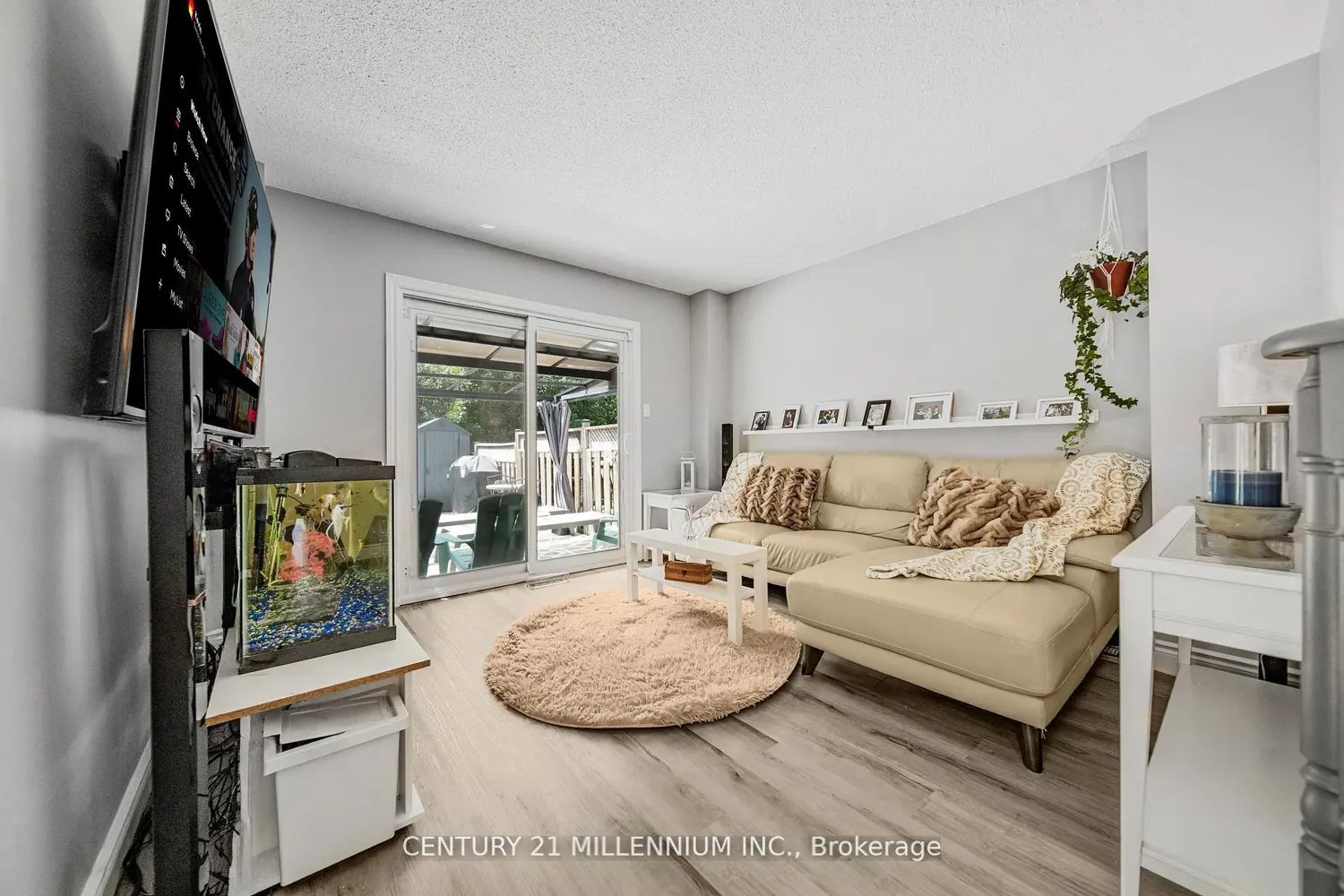 Additional image 7 of 34 Gardenia Way