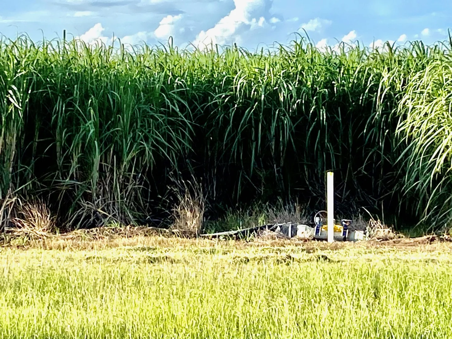 Additional image 12 of 43 Keith Venables Road, Upper Haughton QLD 4809