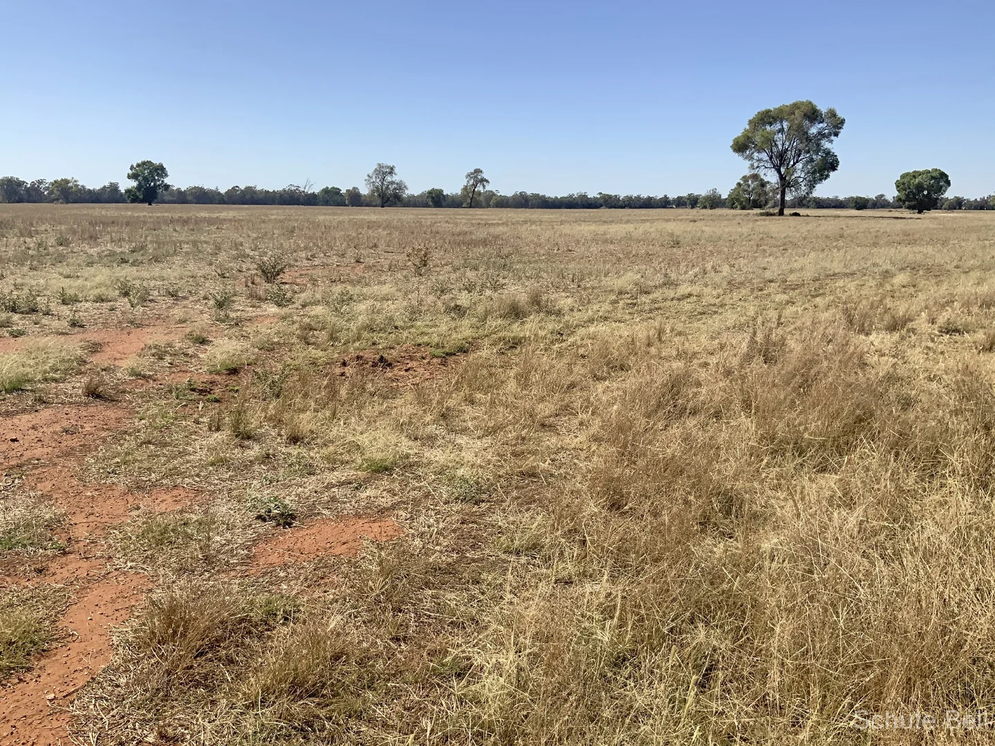 Additional image 10 of 703 Yethera Road, Tullamore NSW 2874