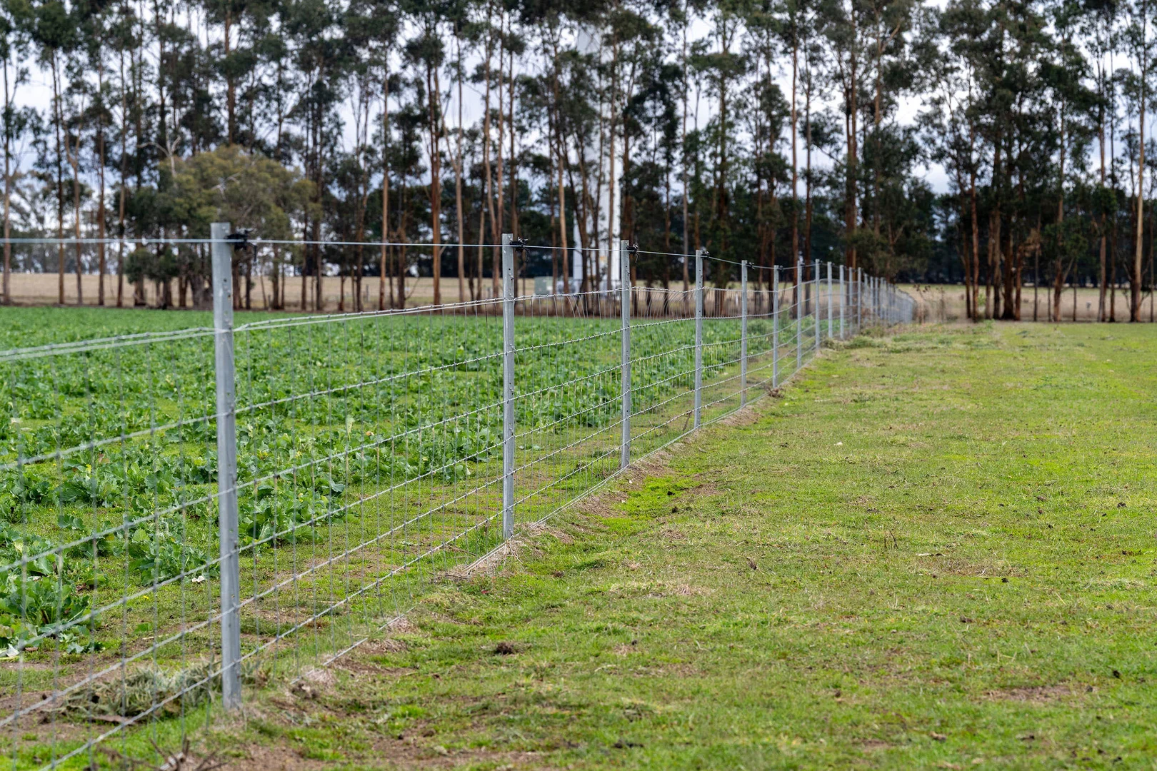 Additional image 3 of 1 McDonalds Lane, Ballan VIC 3342