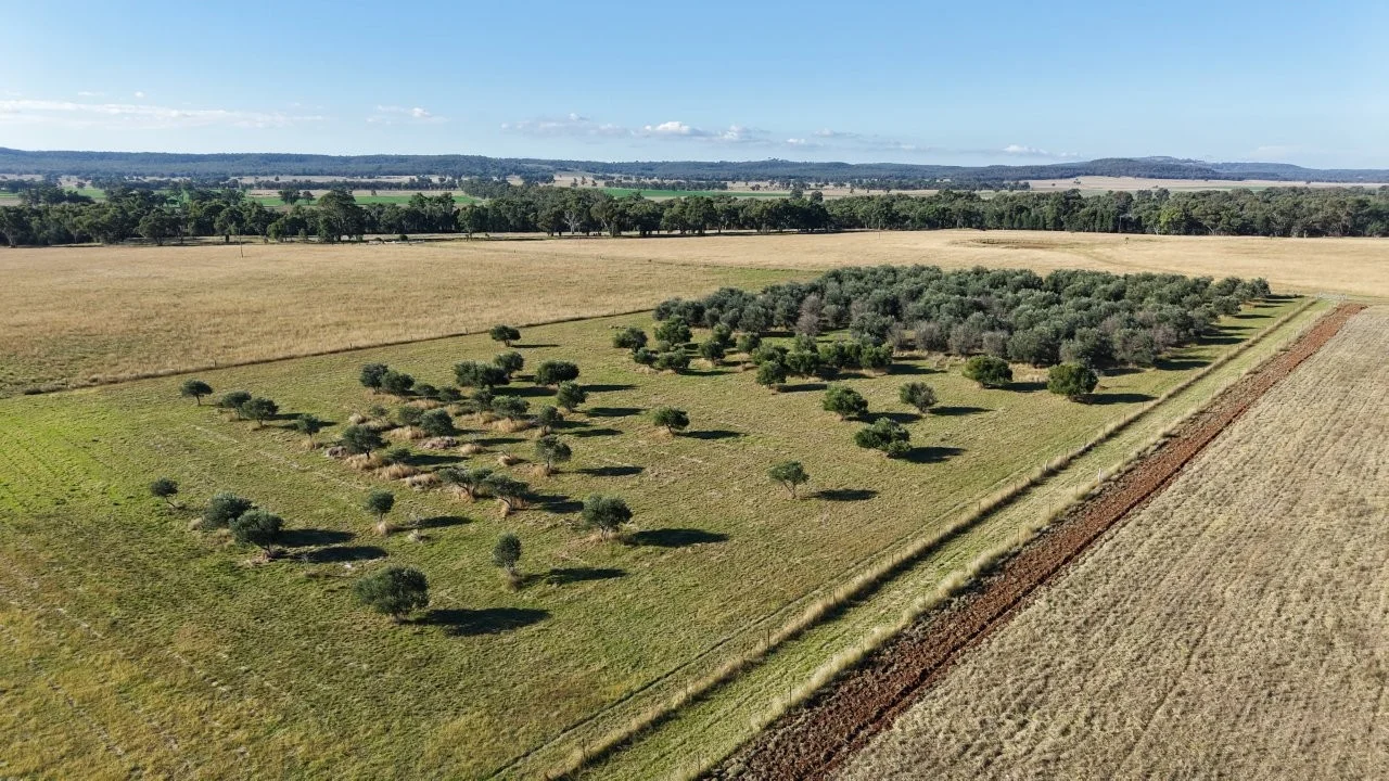 Additional image 18 of 3761 Neilrex Road, Neilrex NSW 2831