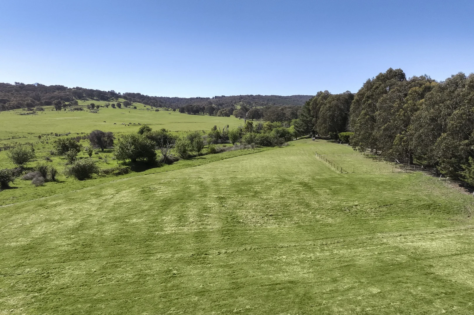 Additional image 8 of 439 Buttercup Road, Merrijig VIC 3723