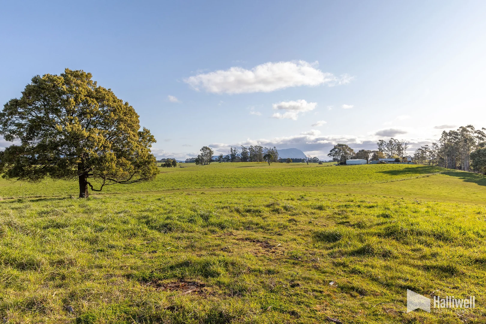 Additional image 13 of Maloneys Road, Sunnyside TAS 7305