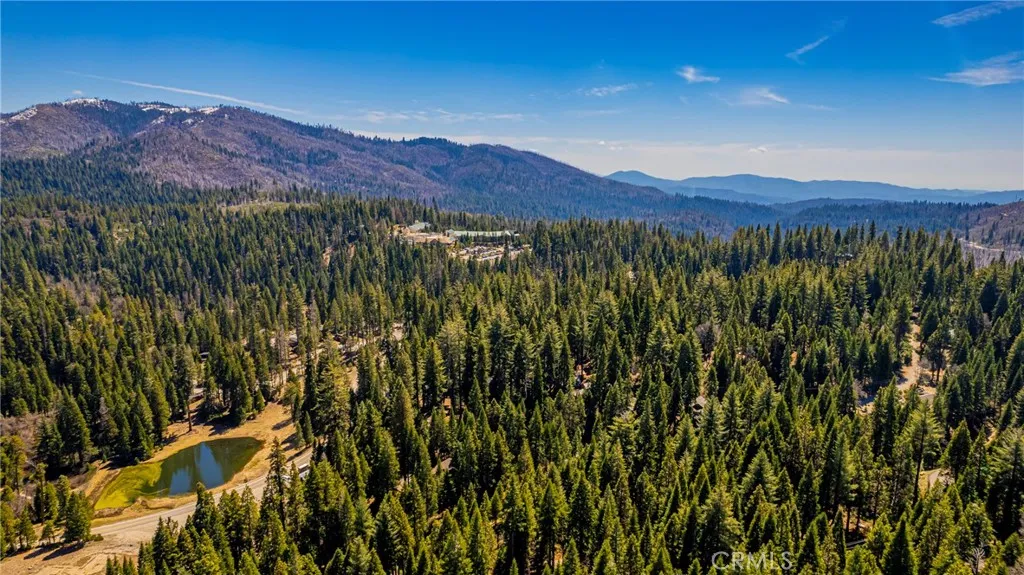 1163 Silver Tip Ln, Fish Camp, CA 93623