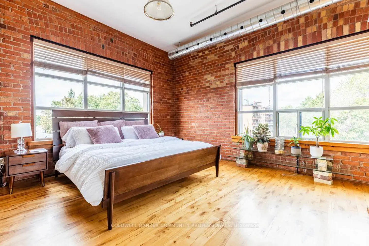 Additional image 14 of 36 Margaret Street 44