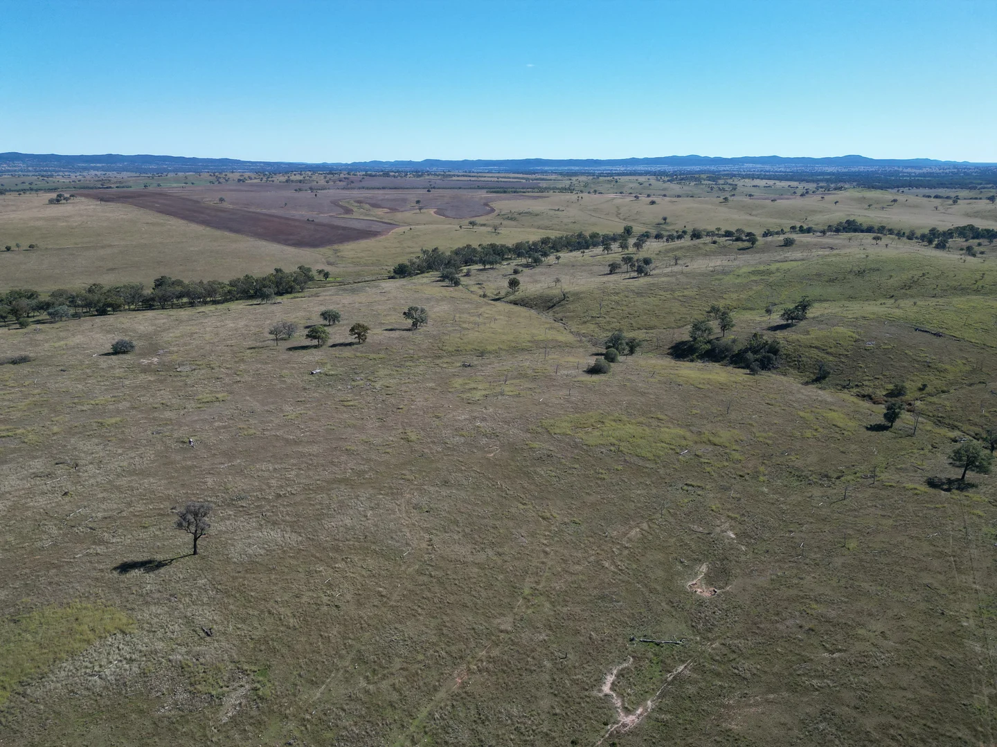 Additional image 6 of 0 Emmaville Road, Ashford NSW 2361