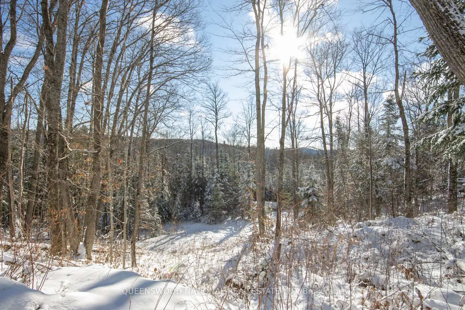 Additional image 11 of 205 Rockingham Road