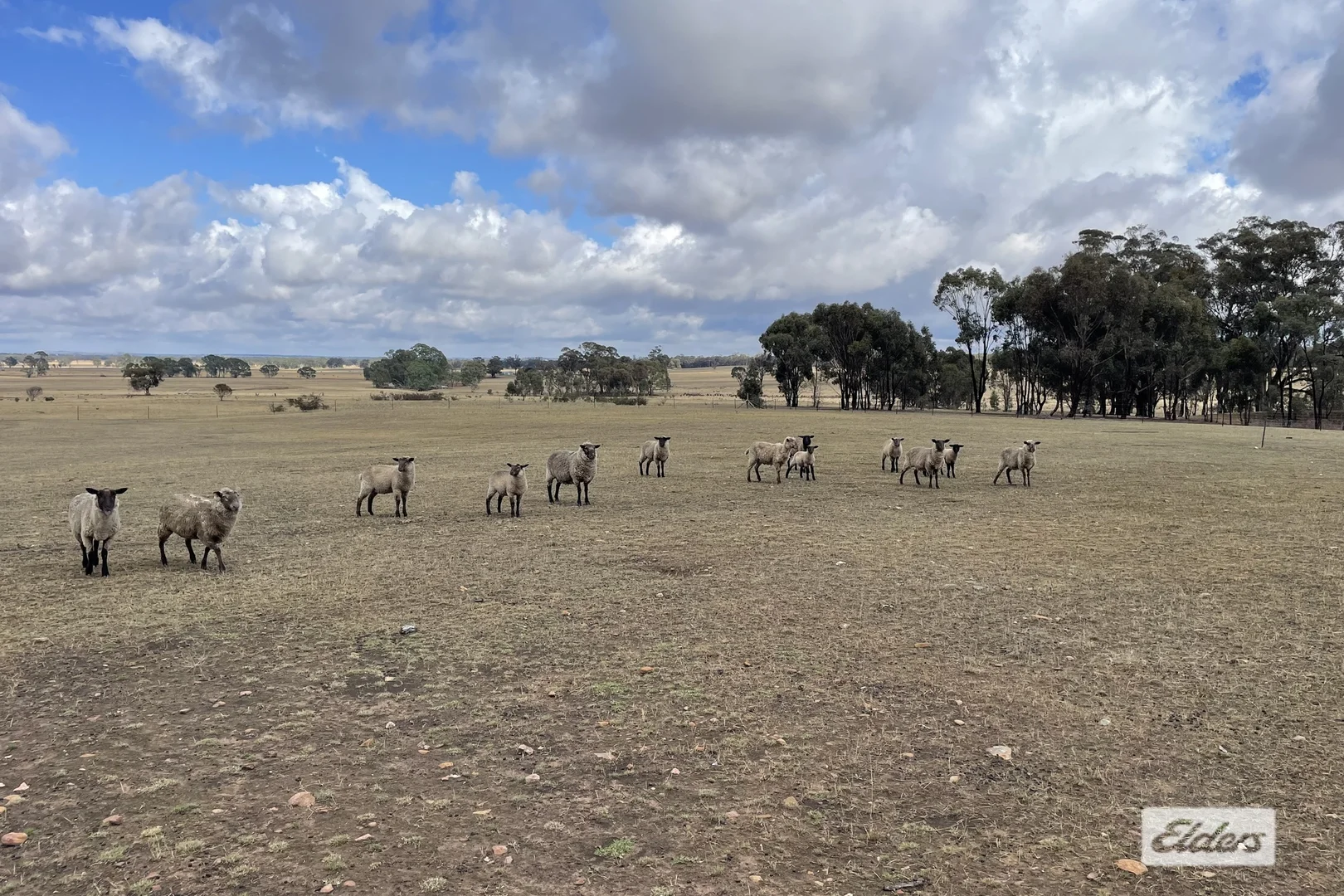 Additional image 20 of 417 Amarant Road, Landsborough VIC 3384