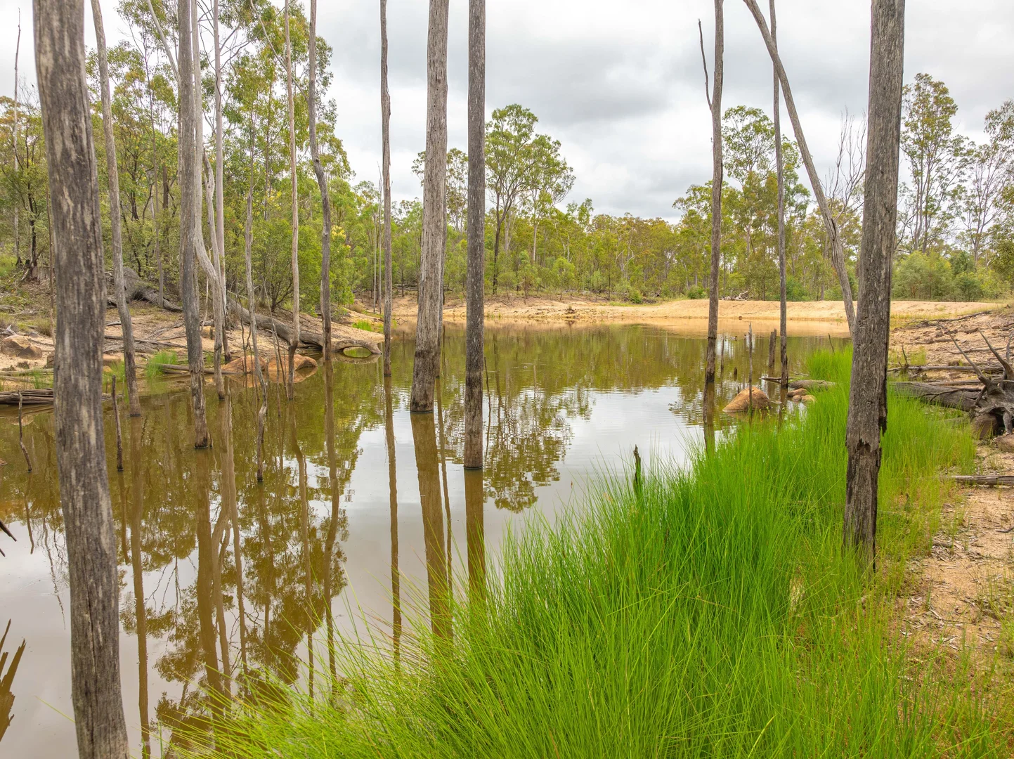 Additional image 15 of 754 Pedersens Road, Dangore QLD 4610