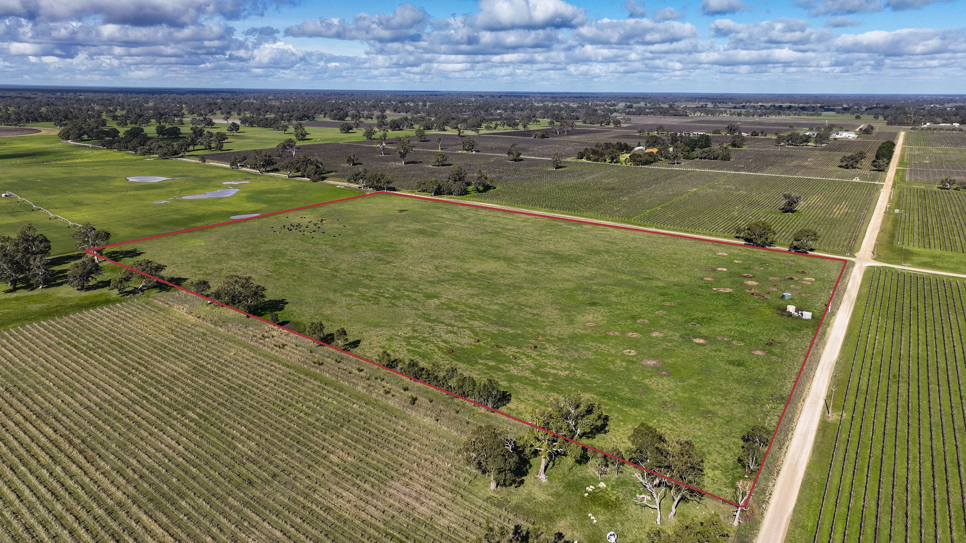 Additional image 8 of Lot 439 Richardson Road, Coonawarra SA 5263