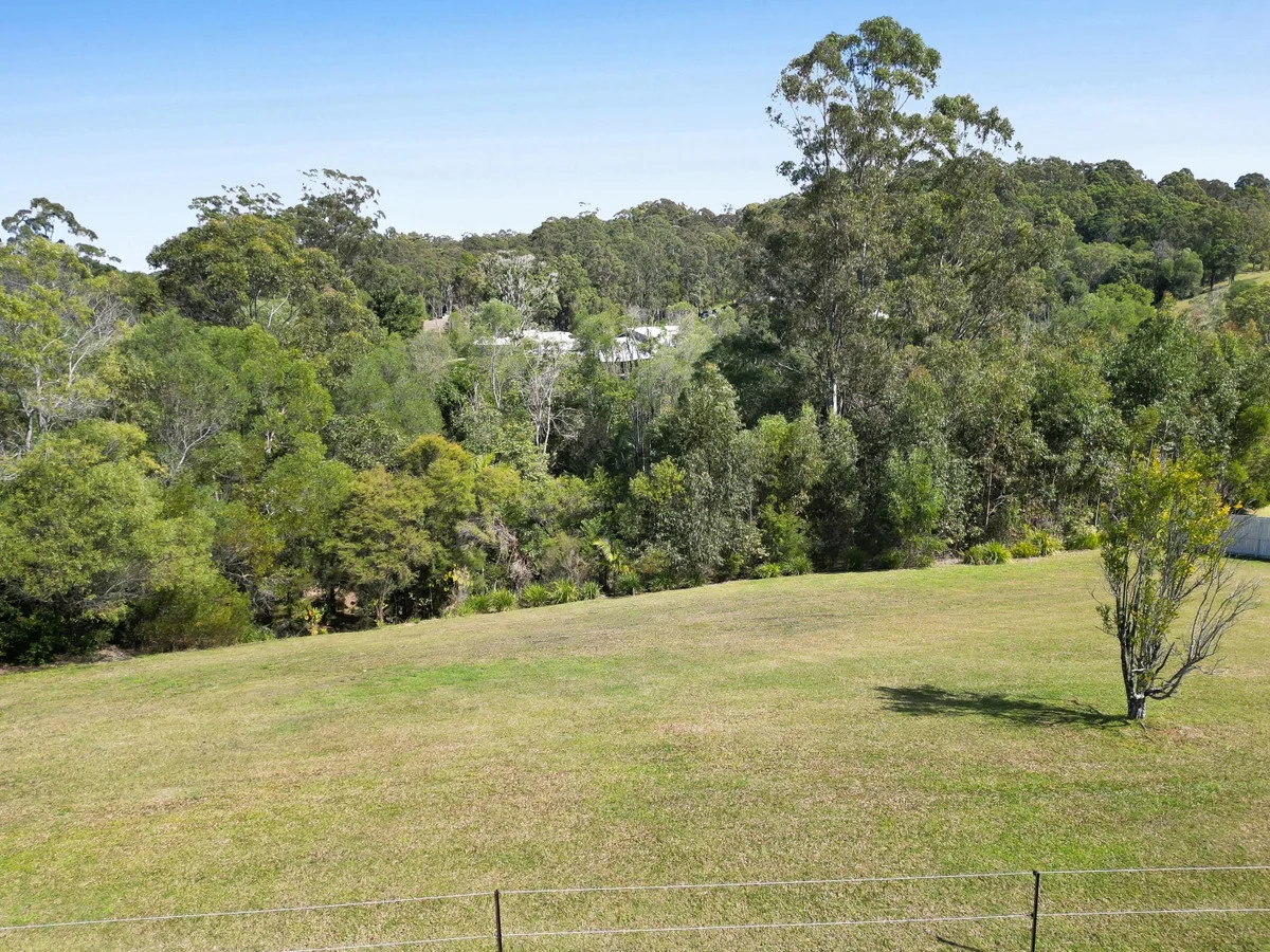 Additional image 9 of 14 Tally Springs Drive, Tallebudgera QLD 4228