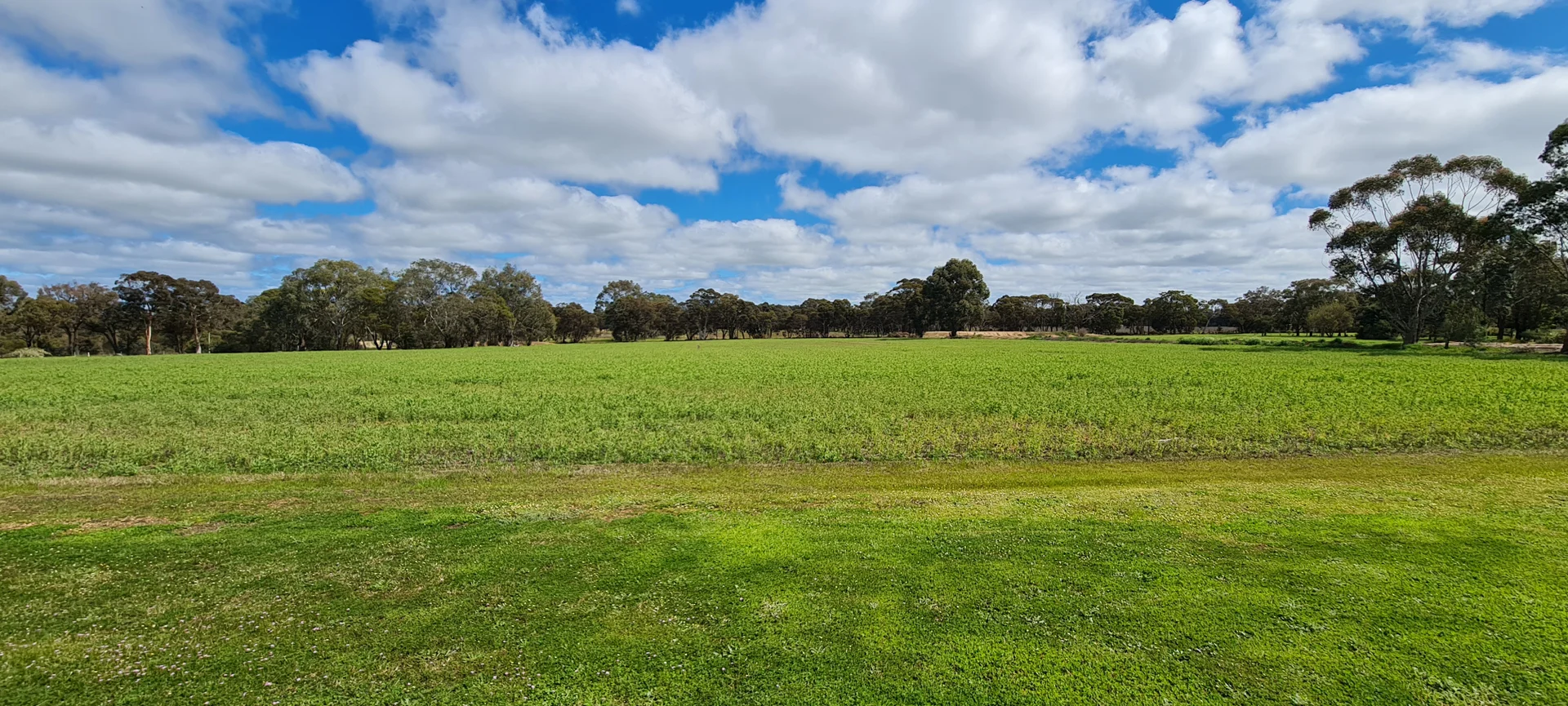 Additional image 9 of 147 Smuts Road, Kendenup WA 6323