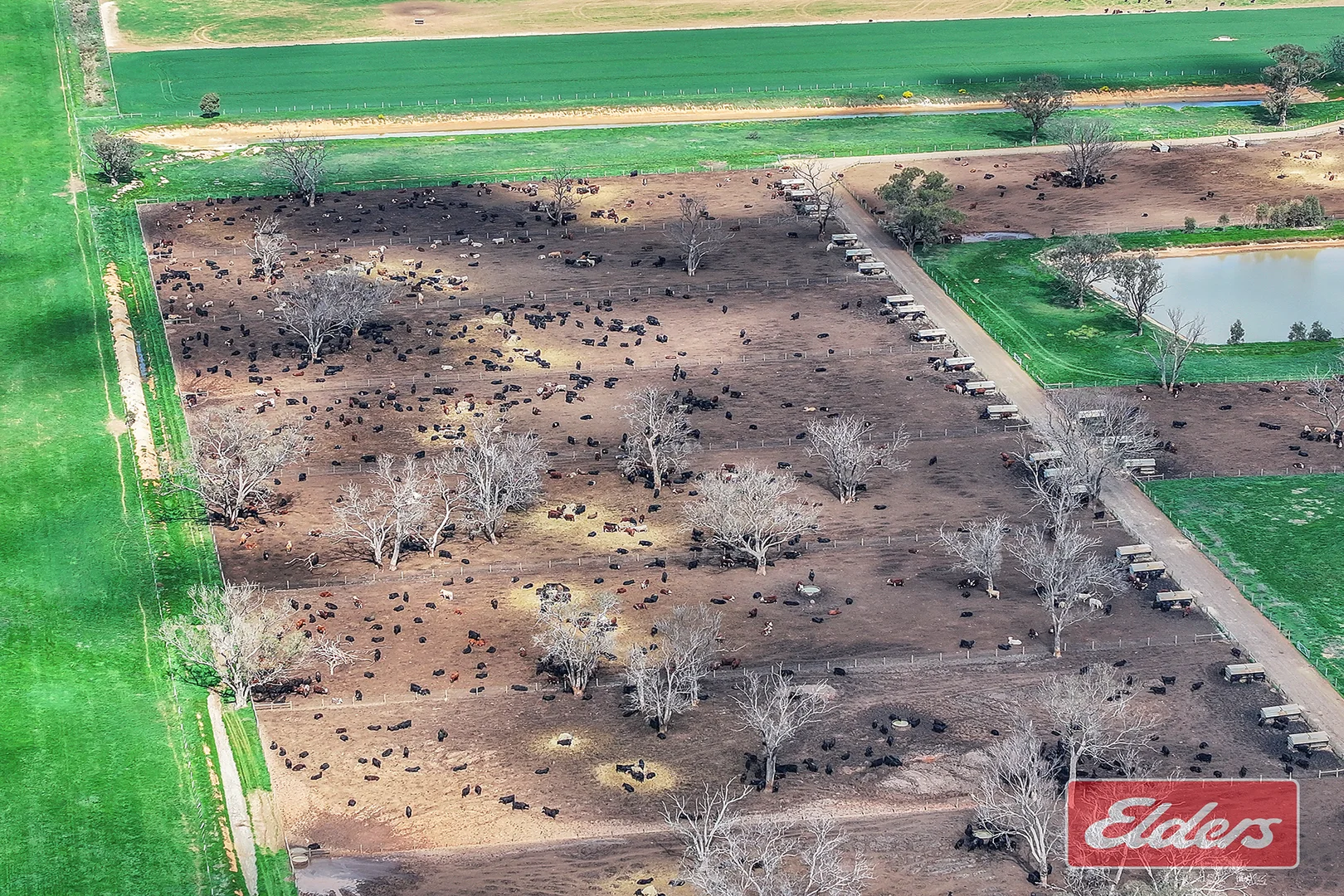 Additional image 10 of 1350 Ryan Road, Kyabram VIC 3620