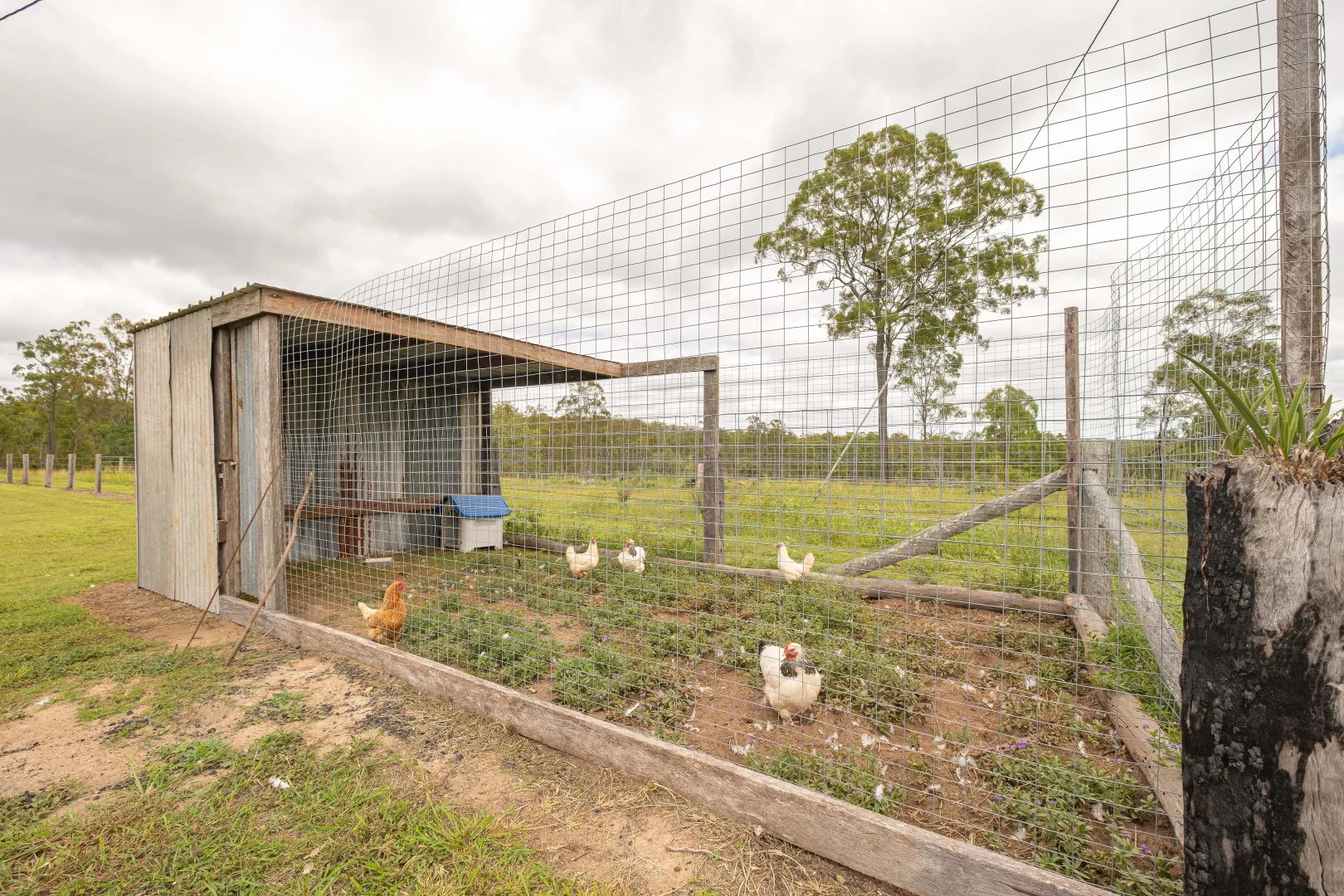 Additional image 9 of 754 Pedersens Road, Dangore QLD 4610