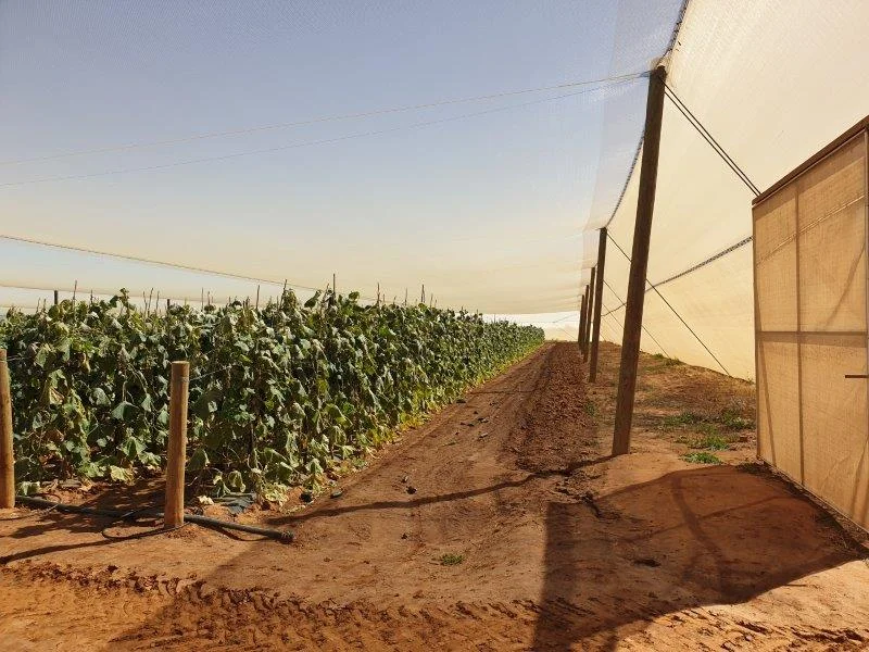 Additional image 9 of 138 North River Road, North Plantations WA 6701