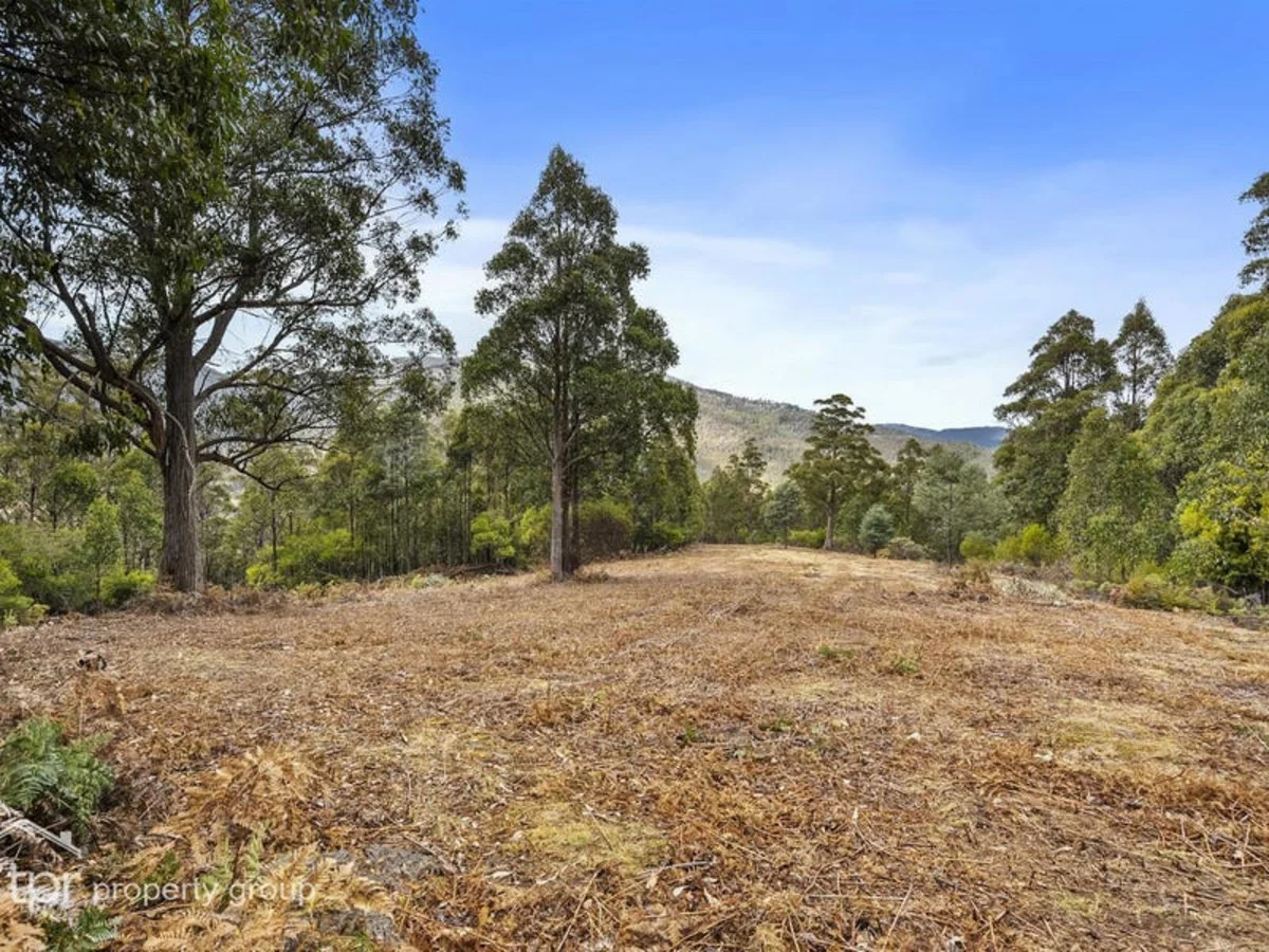 Additional image 9 of Lot 1 Bygraves Road, Crabtree TAS 7109