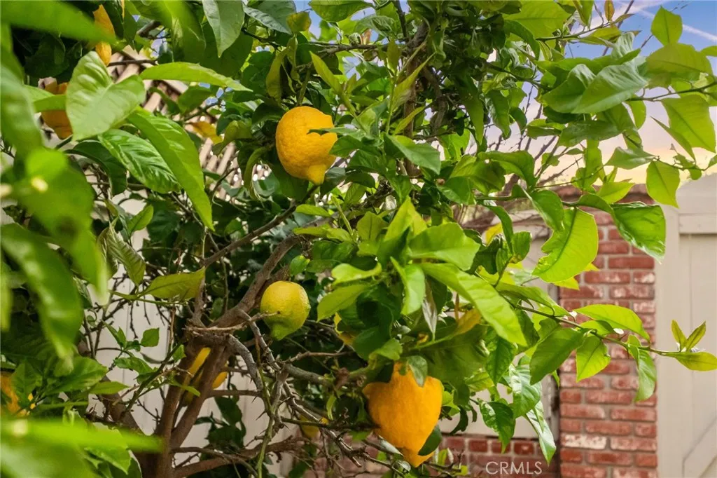 Additional image 11 of 3 Candlebush, Irvine, CA 92603