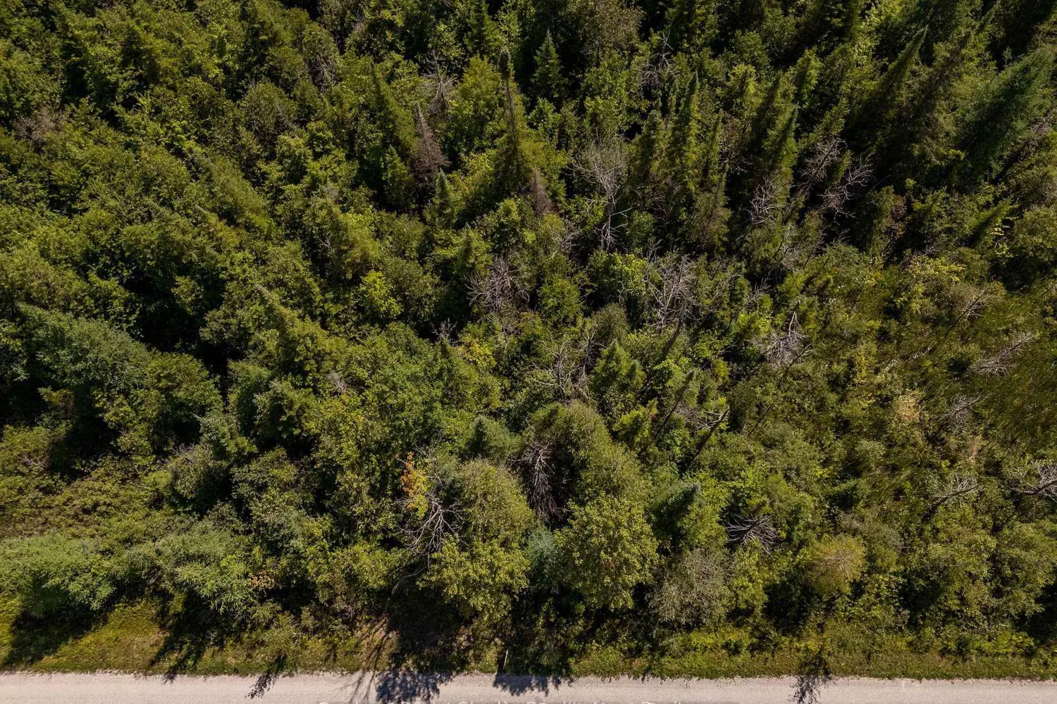 Additional image 3 of 49 Lake Drive