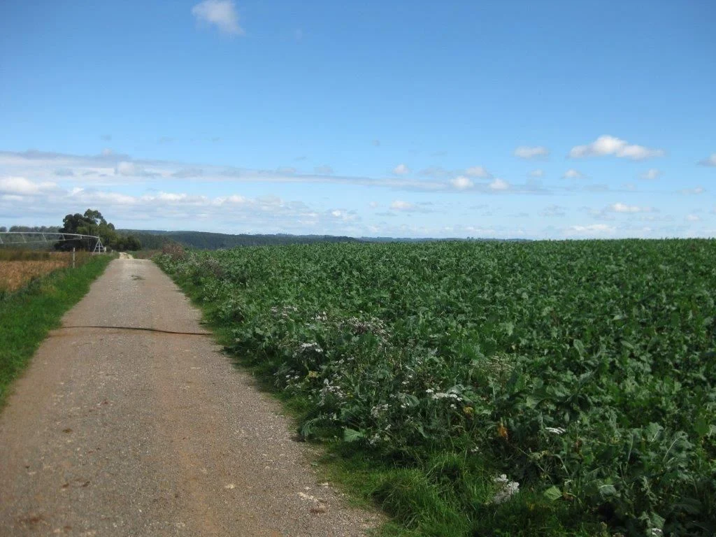 Additional image 14 of 1719 Mawbanna Road, Mawbanna TAS 7321