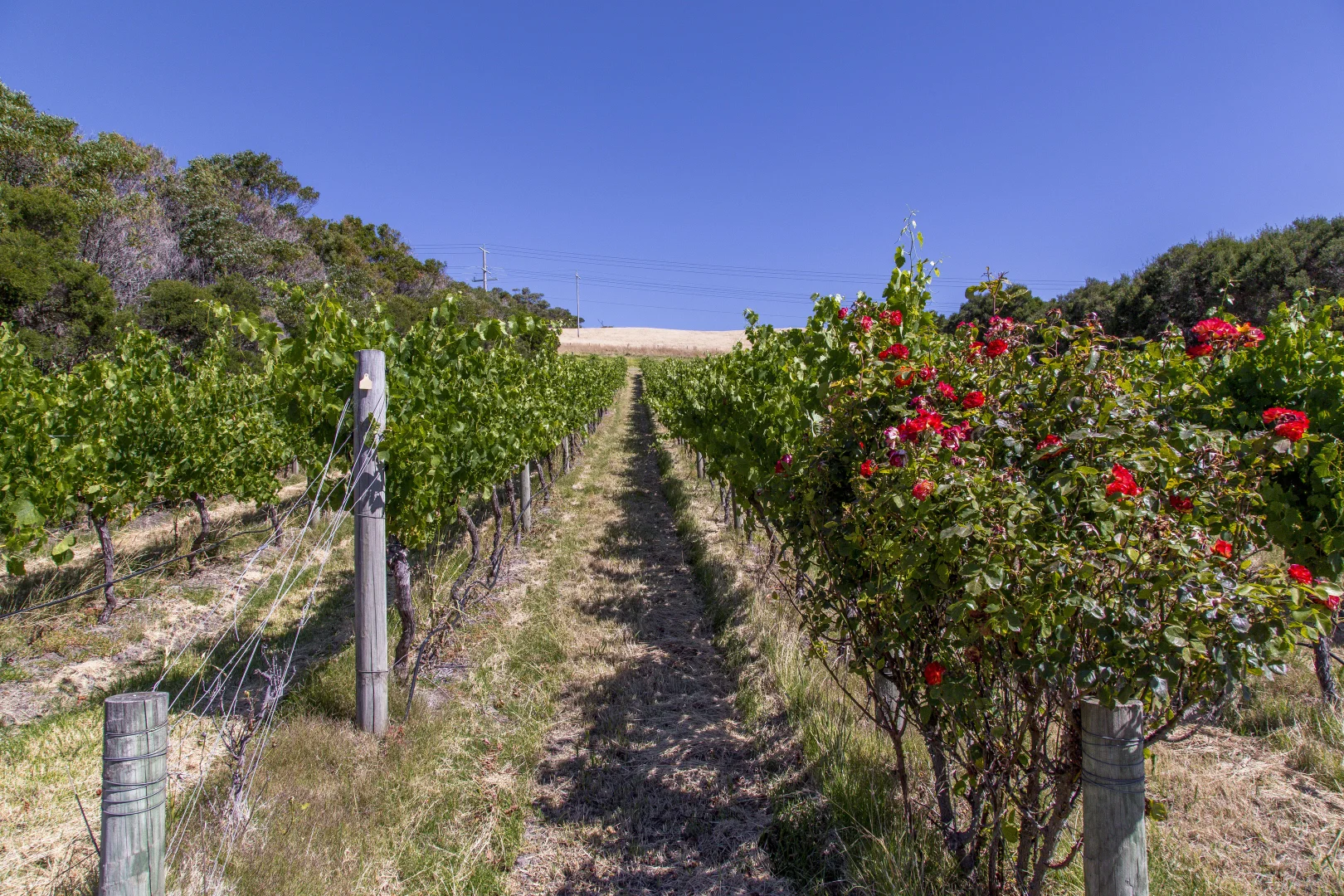 Additional image 31 of 215 Phillip Island Road, San Remo VIC 3925