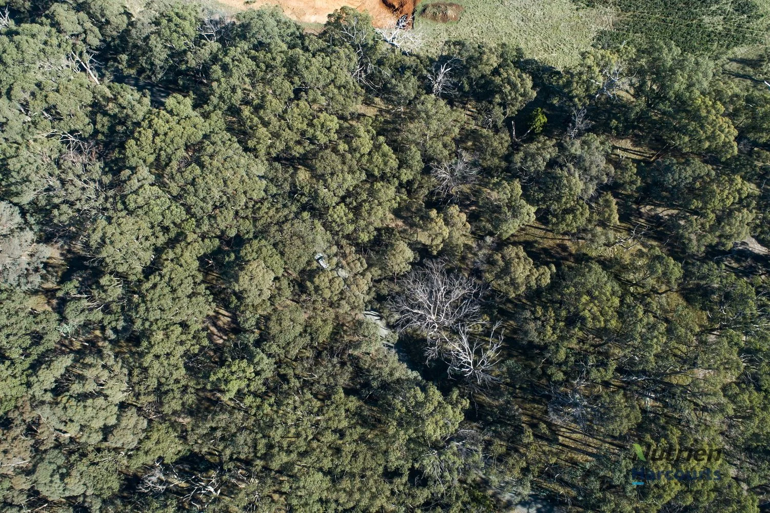 Additional image 11 of Yea VIC 3717