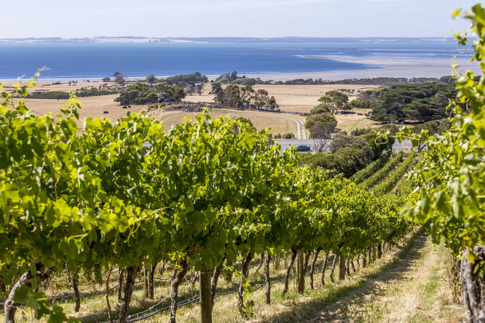 Additional image 23 of 215 Phillip Island Road, San Remo VIC 3925