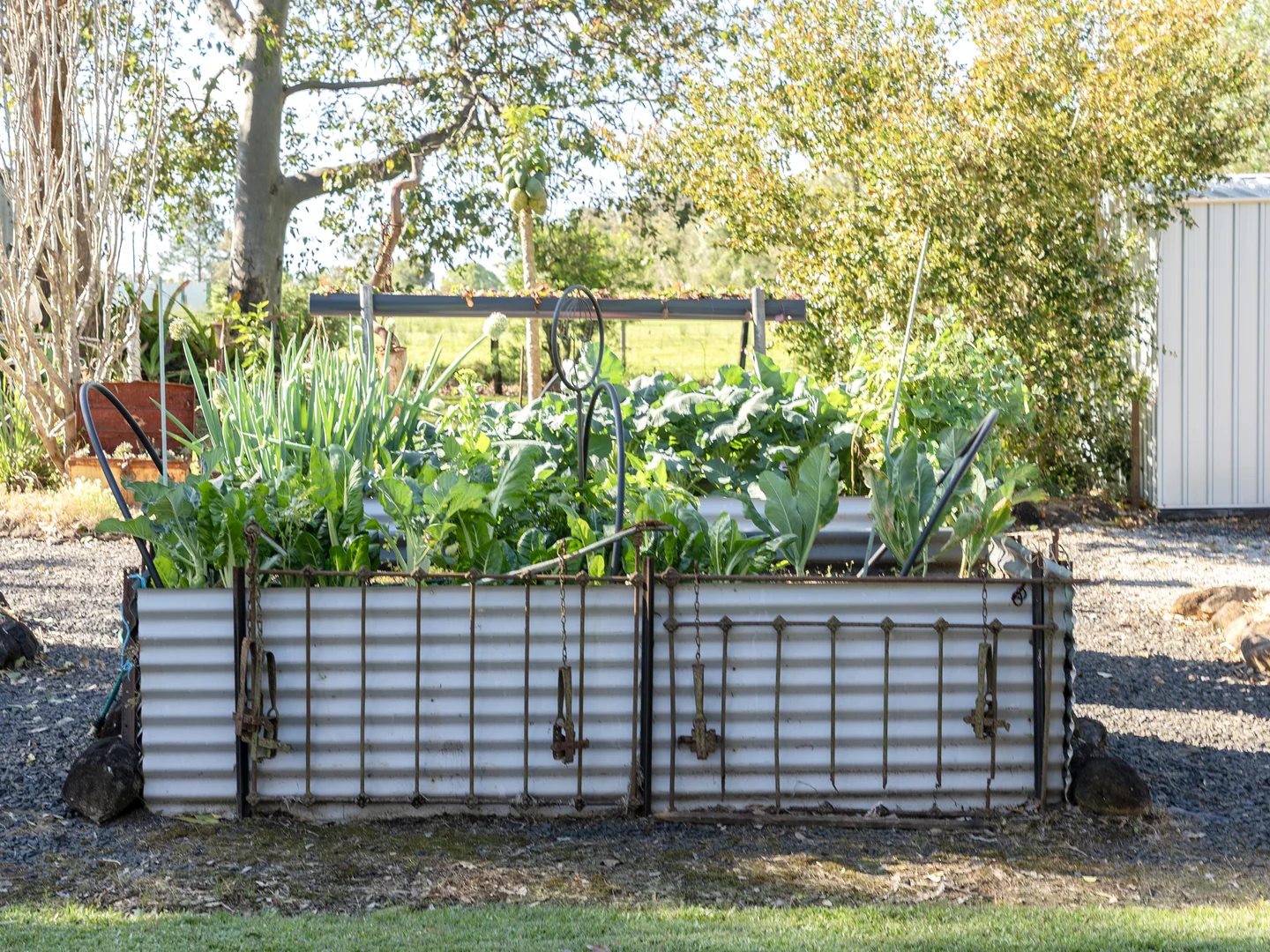 Additional image 16 of 68 Trustums Hill Road, Woodburn NSW 2472