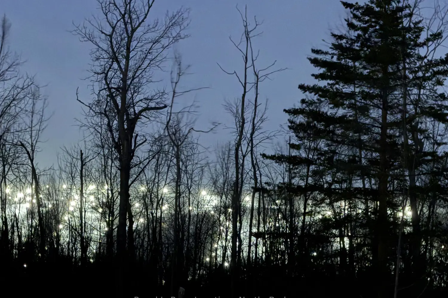 Additional image 12 of 1-372 Grey Road 21 Road