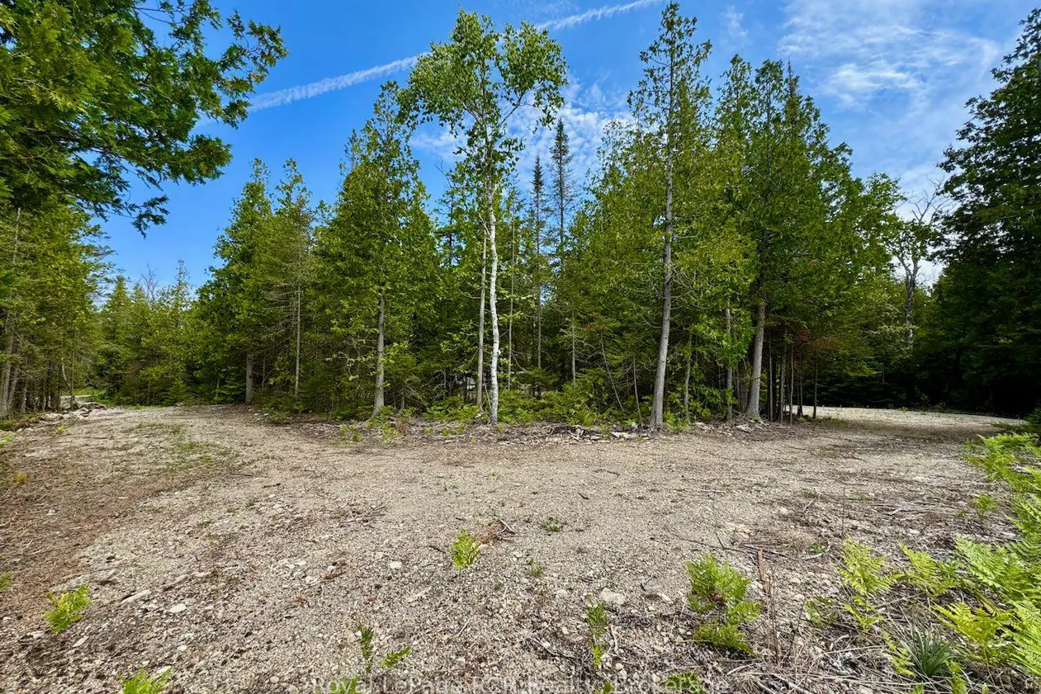 Additional image 10 of 104 Little Pine Drive