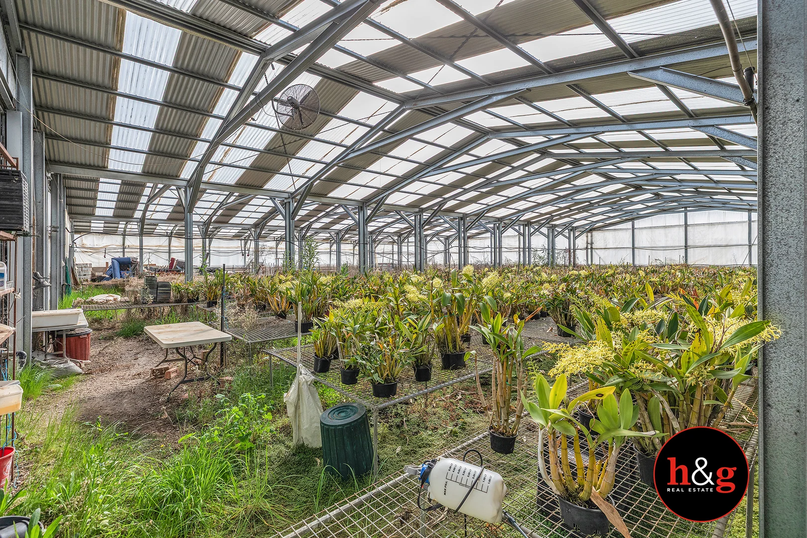 Additional image 3 of 51 Morrissey Street, Merrigum VIC 3618