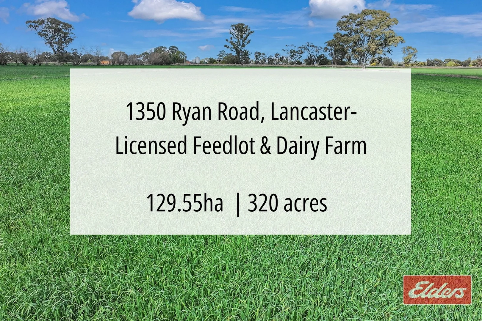 Additional image 4 of 1350 Ryan Road, Kyabram VIC 3620