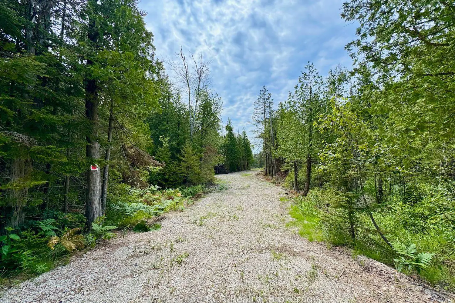 Additional image 4 of 104 Little Pine Drive
