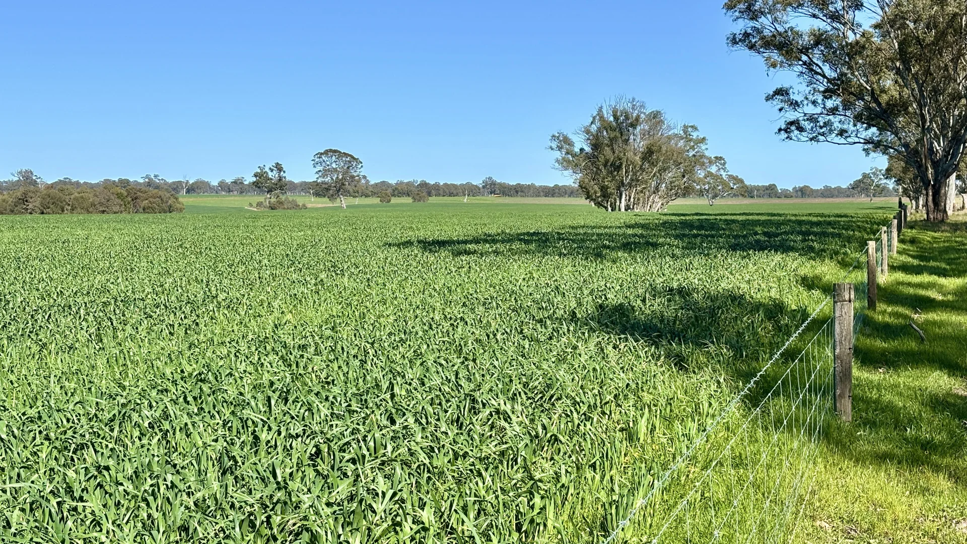 Additional image 14 of 173 Mcclures Rd, Connewirricoo VIC 3318