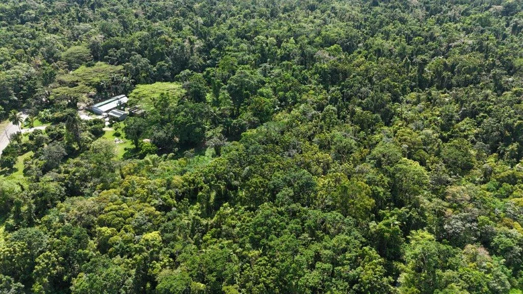 Additional image 21 of Lot 81 Cape Tribulation Road, DIWAN,, Daintree QLD 4873
