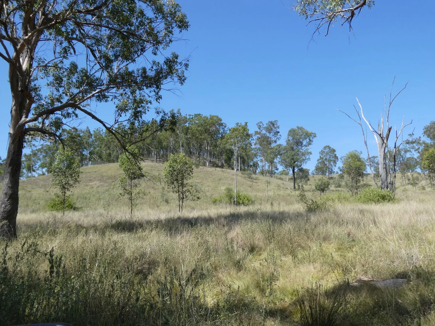 Additional image 13 of Lot 14 Monto Mount Perry Road, Mungy QLD 4671