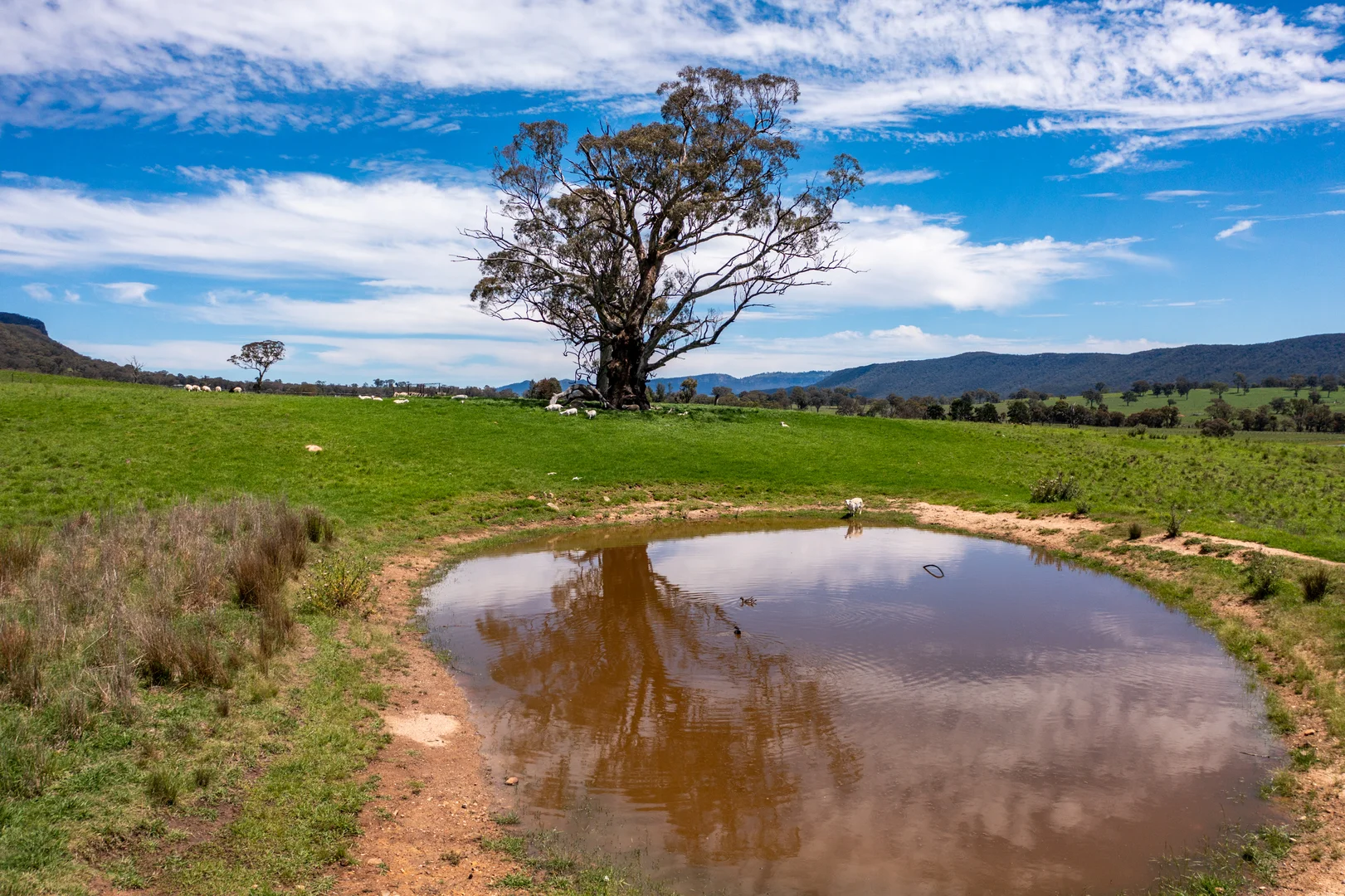 Additional image 8 of 22 //1235 Glen Alice Road, Rylstone NSW 2849