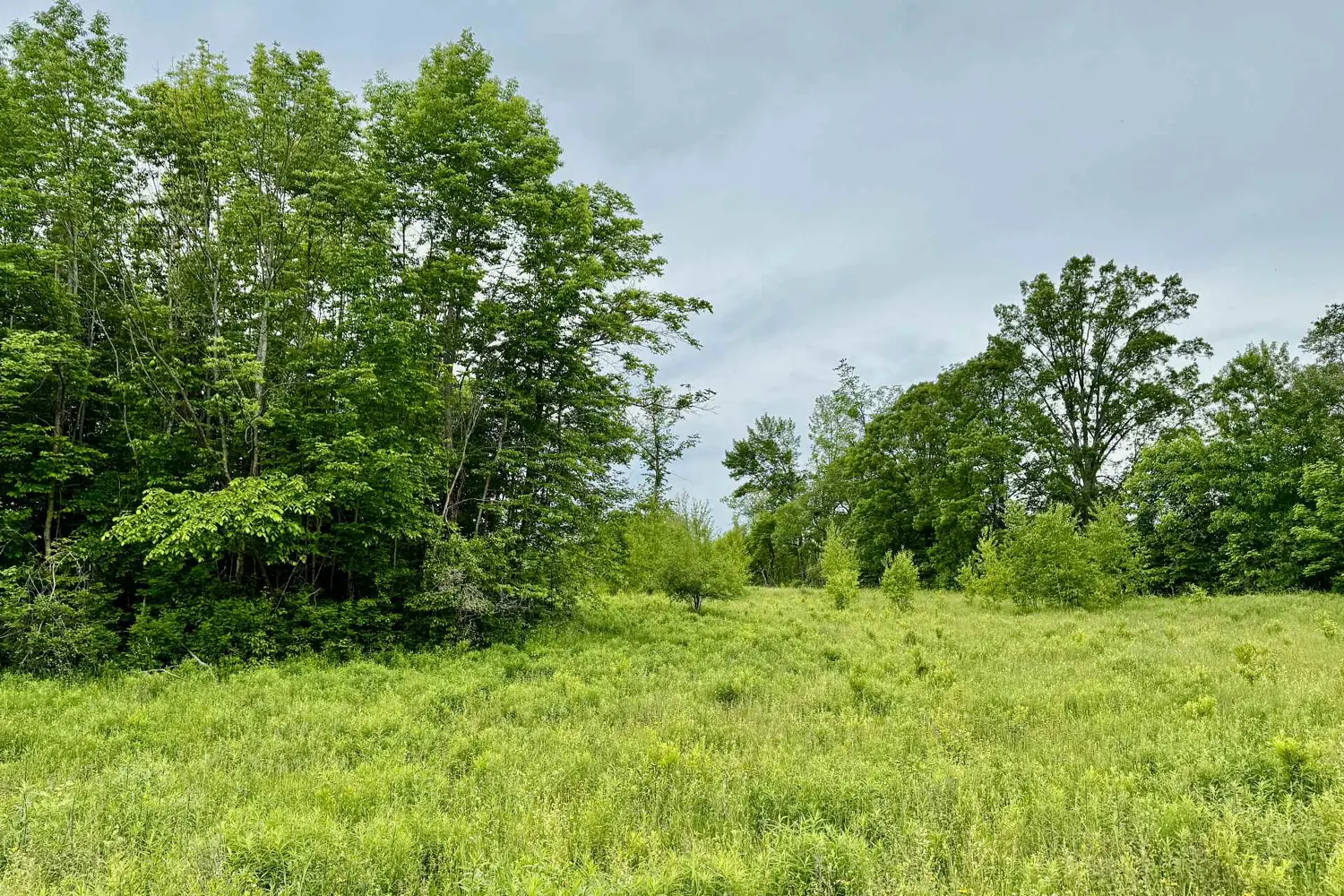 Additional image 5 of 00 Cooper Road