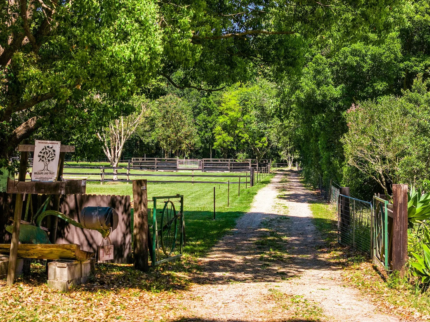 Additional image 36 of 14 Adcocks Road, Stokers Siding NSW 2484