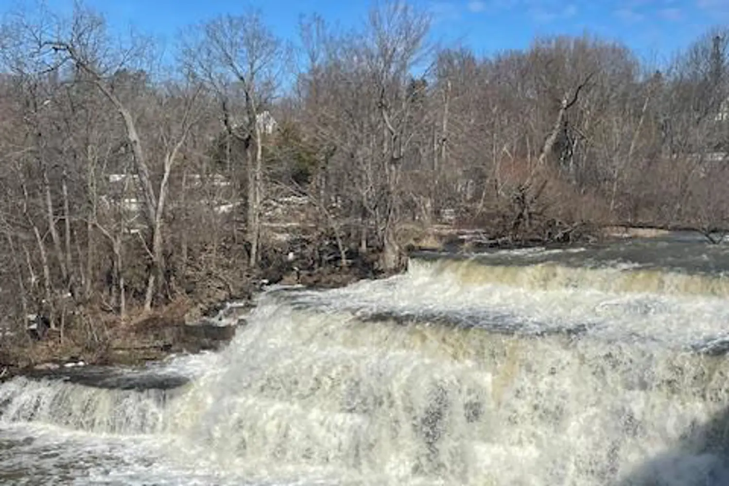 Additional image 19 of 1-319 Rosamond Street