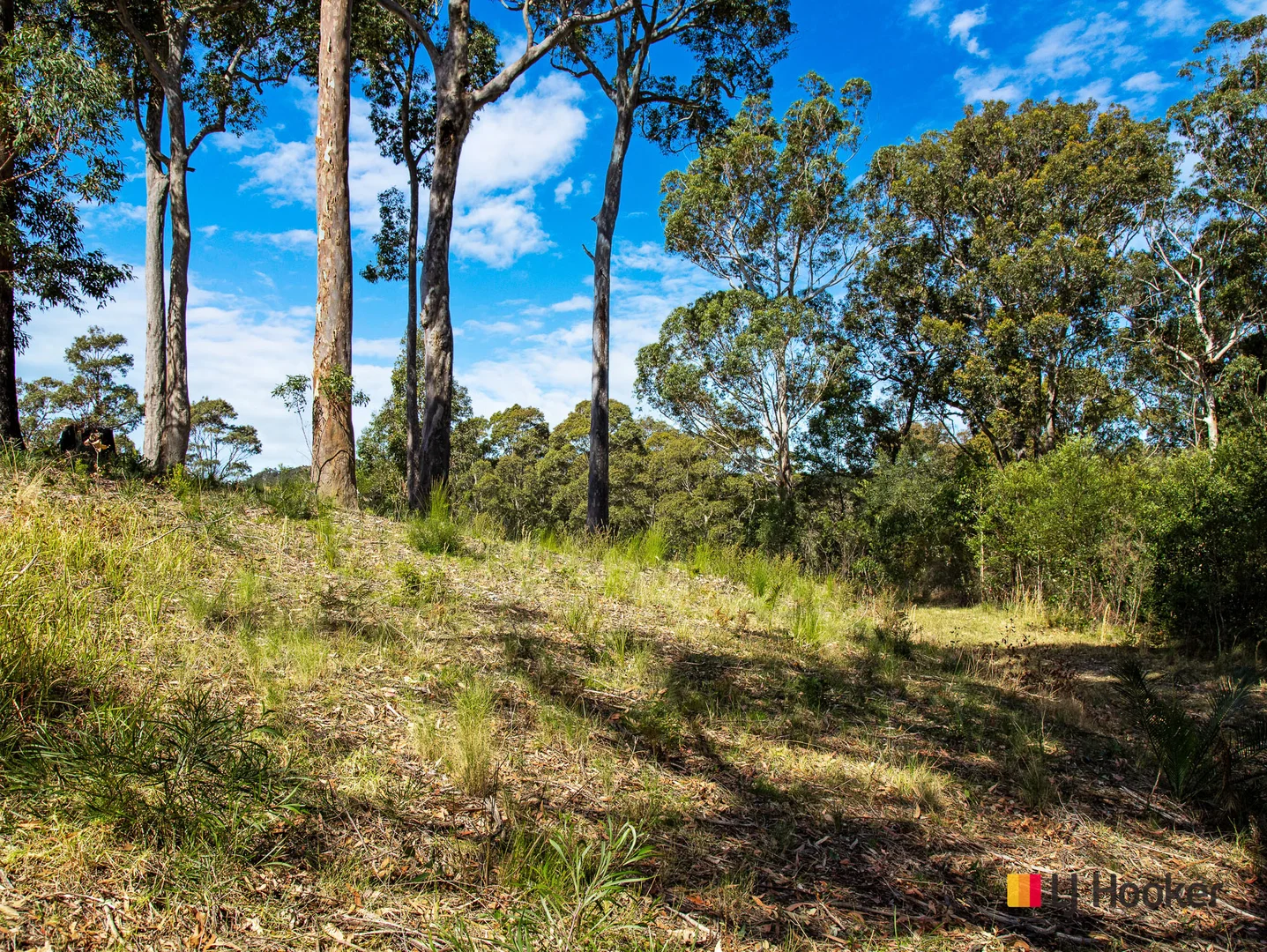 Additional image 6 of 25 Timber Way, Surf Beach NSW 2536