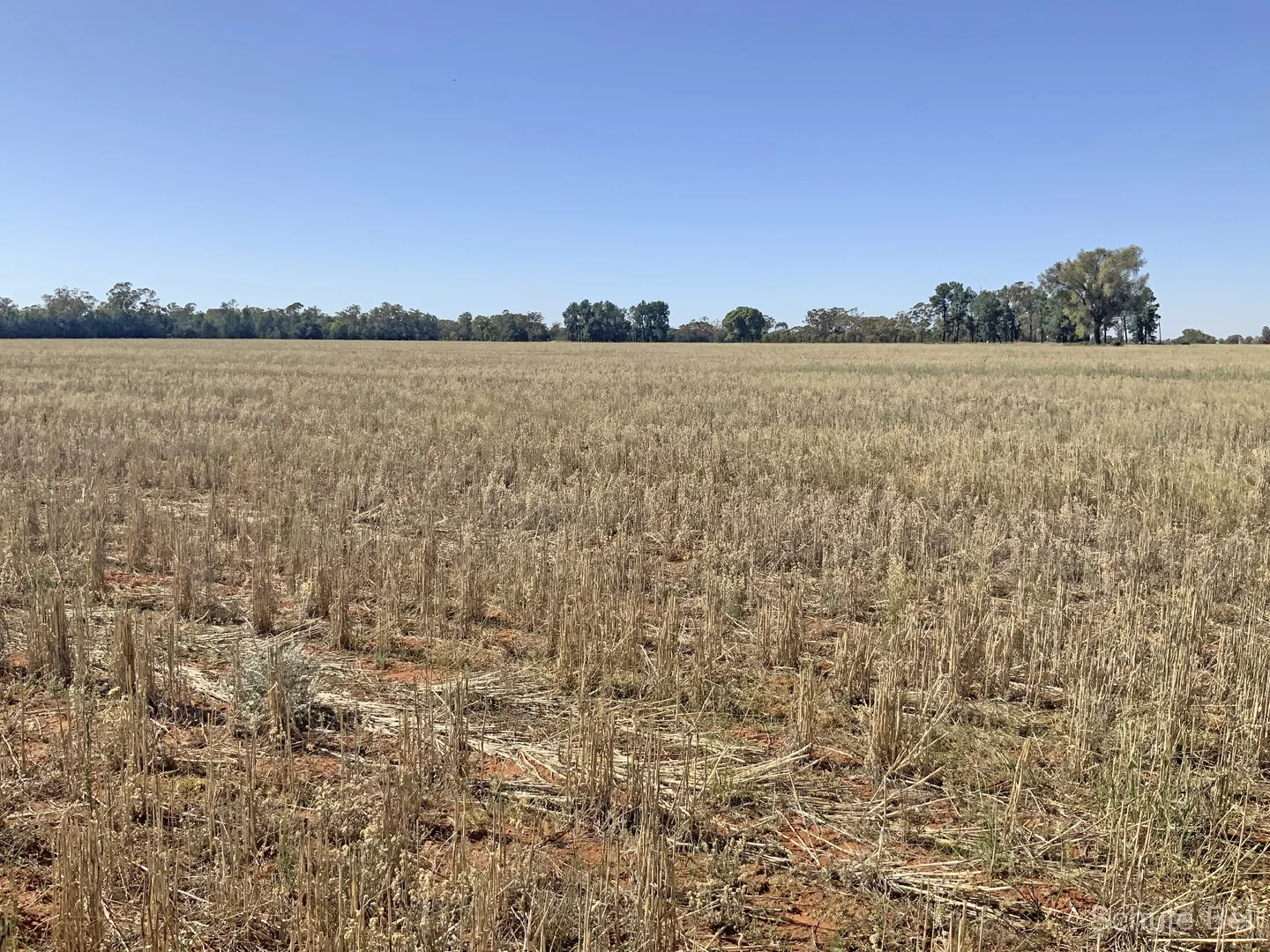 Additional image 12 of 703 Yethera Road, Tullamore NSW 2874