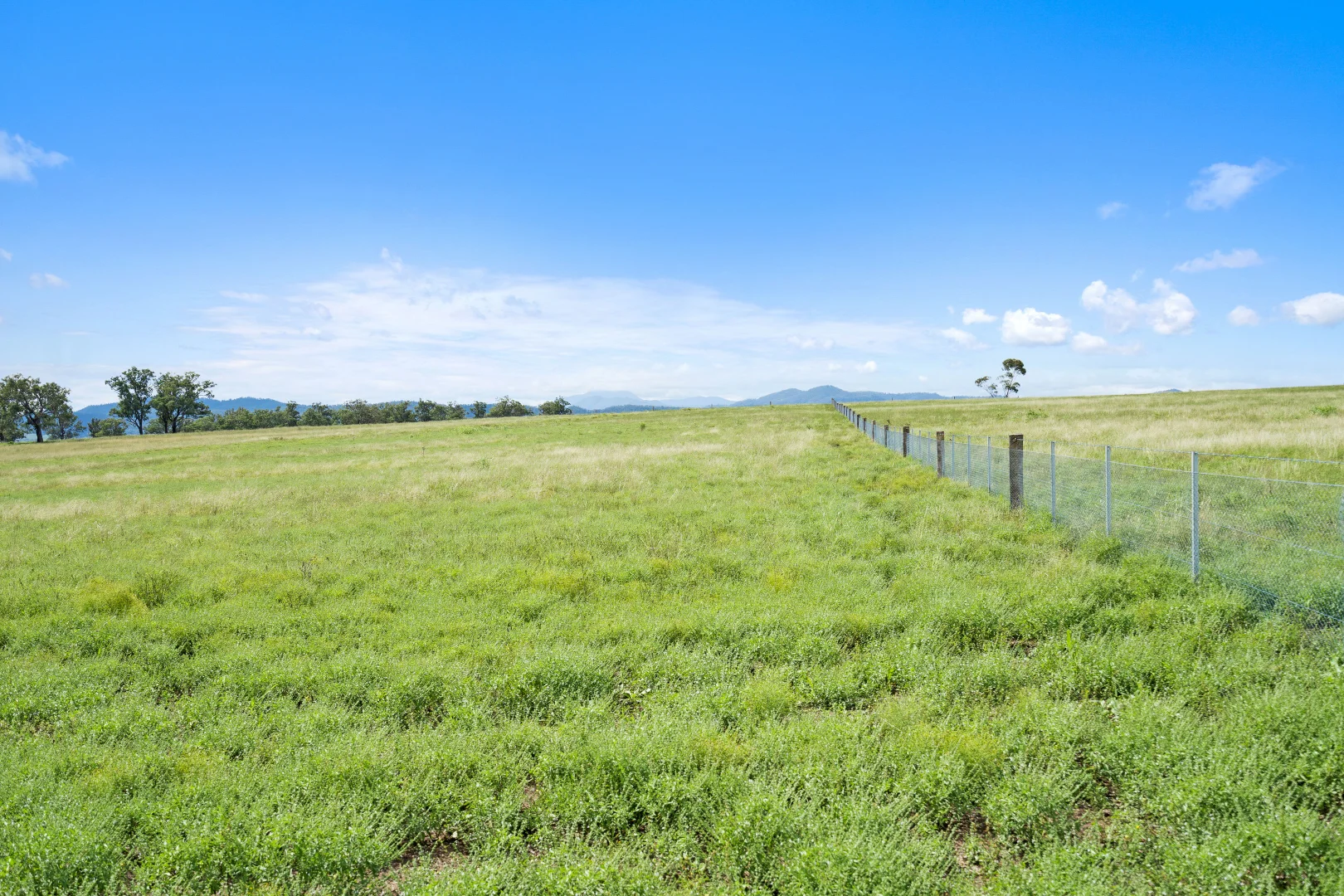 Additional image 13 of Bakewell Circuit, Scone NSW 2337