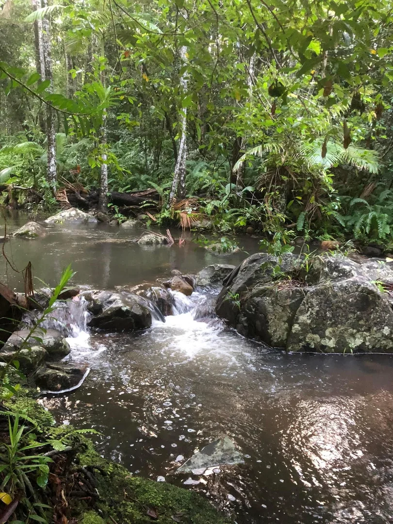 Additional image 18 of 81 Castle Rock Road, Byfield QLD 4703