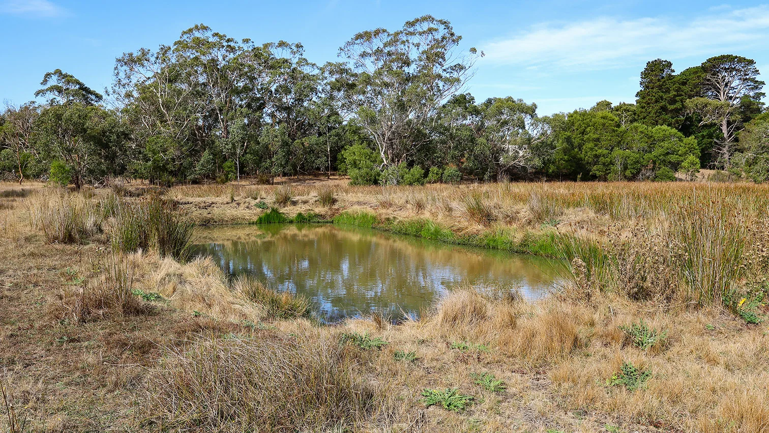 Additional image 3 of 44 Fincks Road, Heathmere VIC 3305