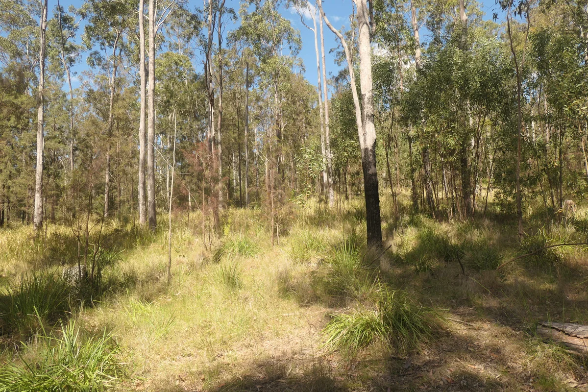 Additional image 26 of Lot 5 Long Gully Road, Drake NSW 2469