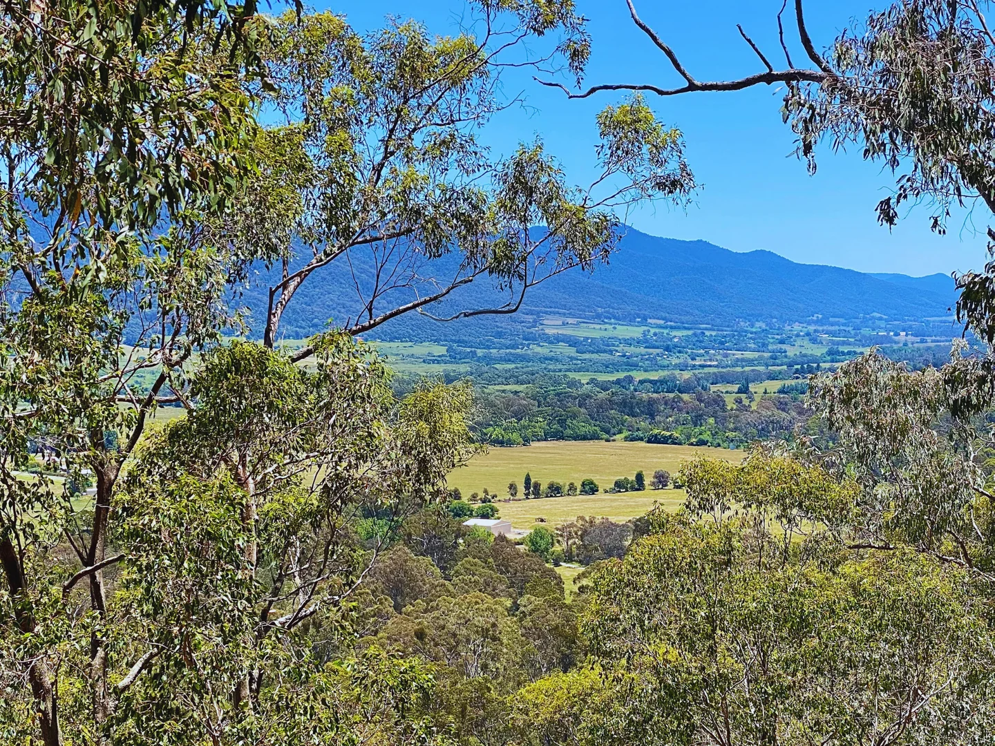 Additional image 5 of Mount Beauty VIC 3699