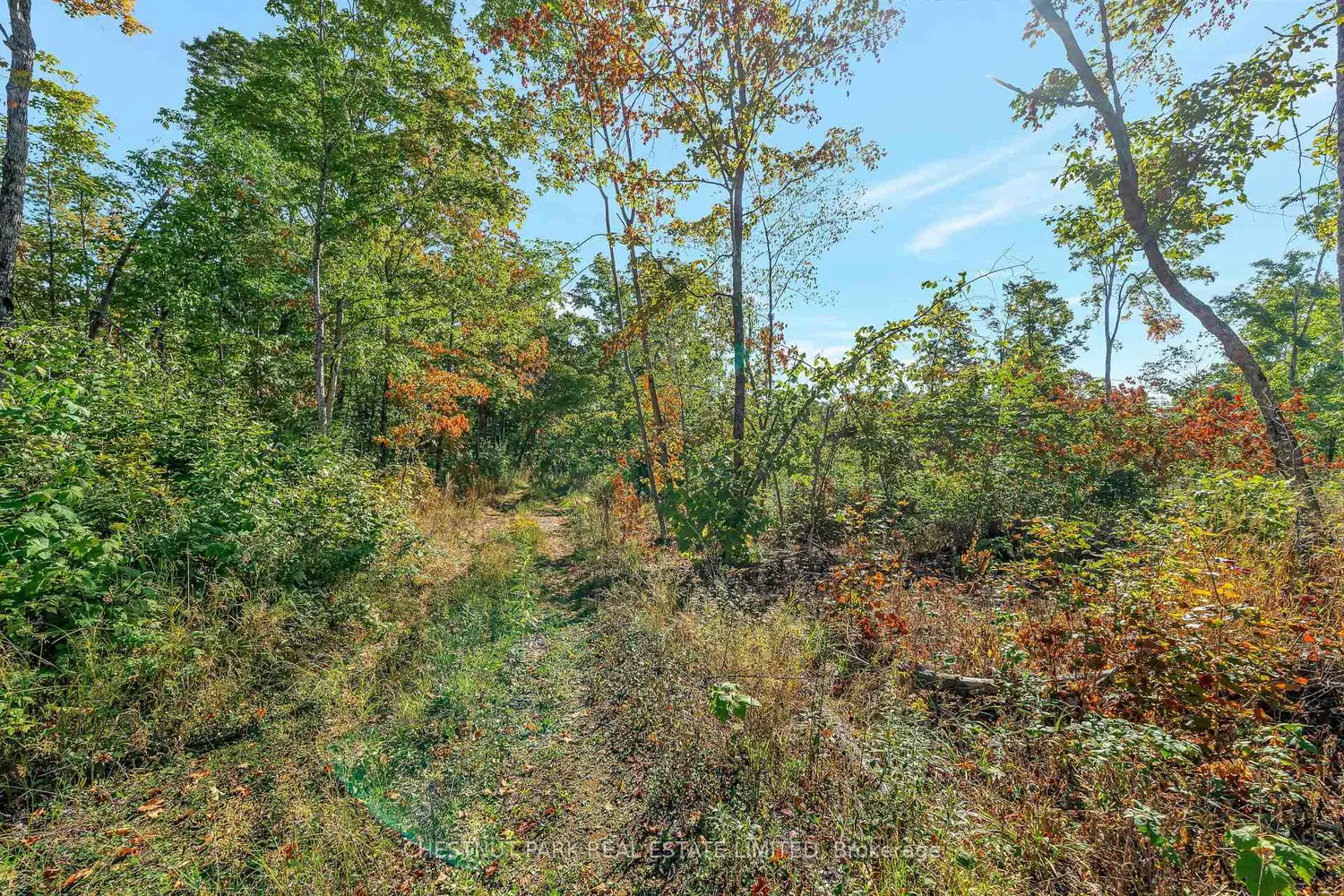 Additional image 19 of 682 Felbers Road