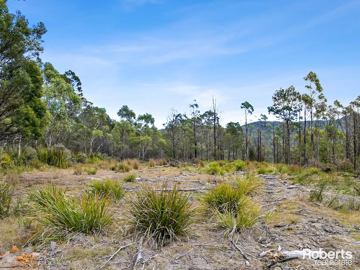 Additional image 9 of Lot 12, 13/524 Rosedale Road, Bicheno TAS 7215