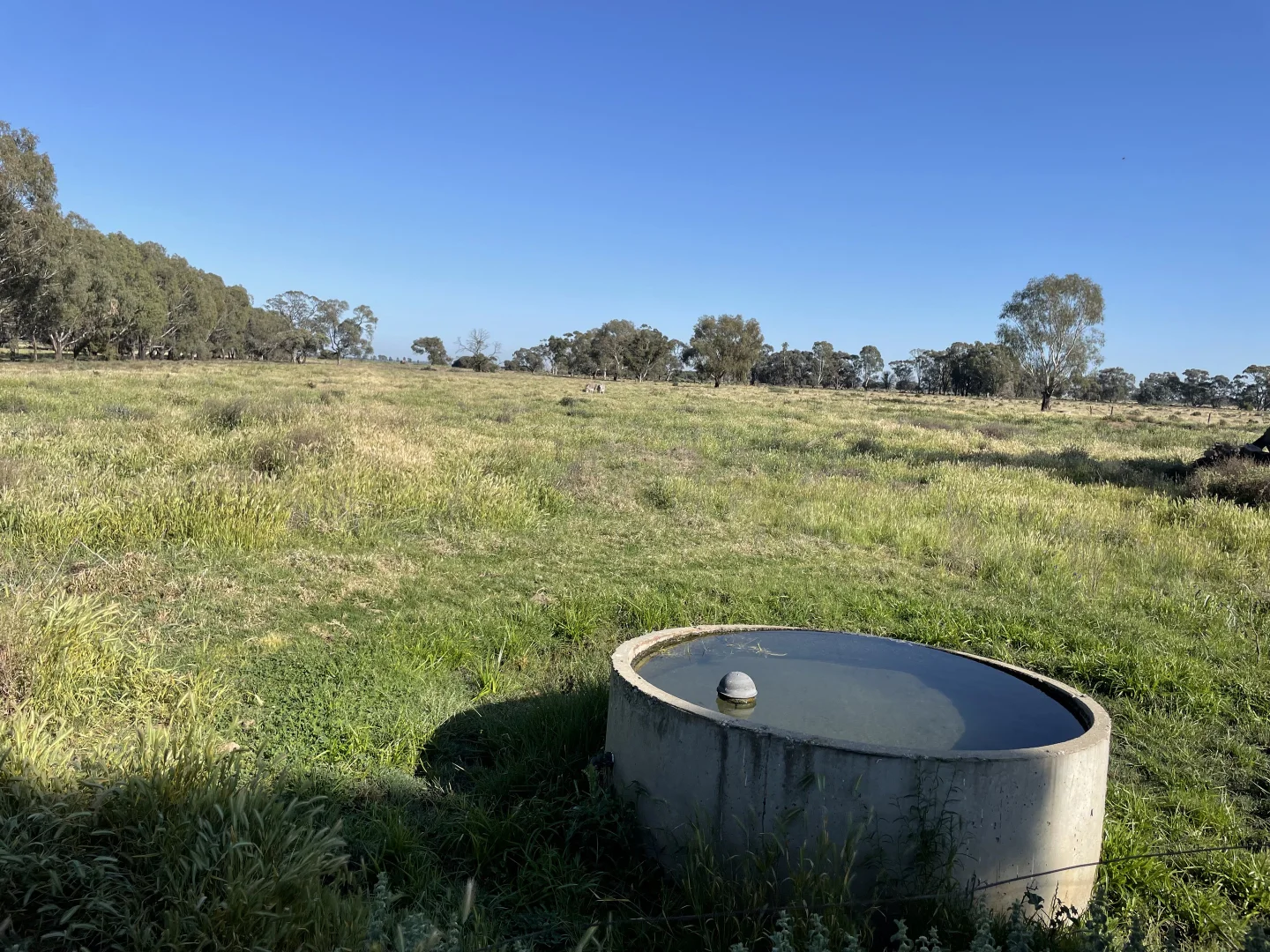 Additional image 15 of 'Yileen' 4371 Moulamein Road, Tullakool NSW 2732