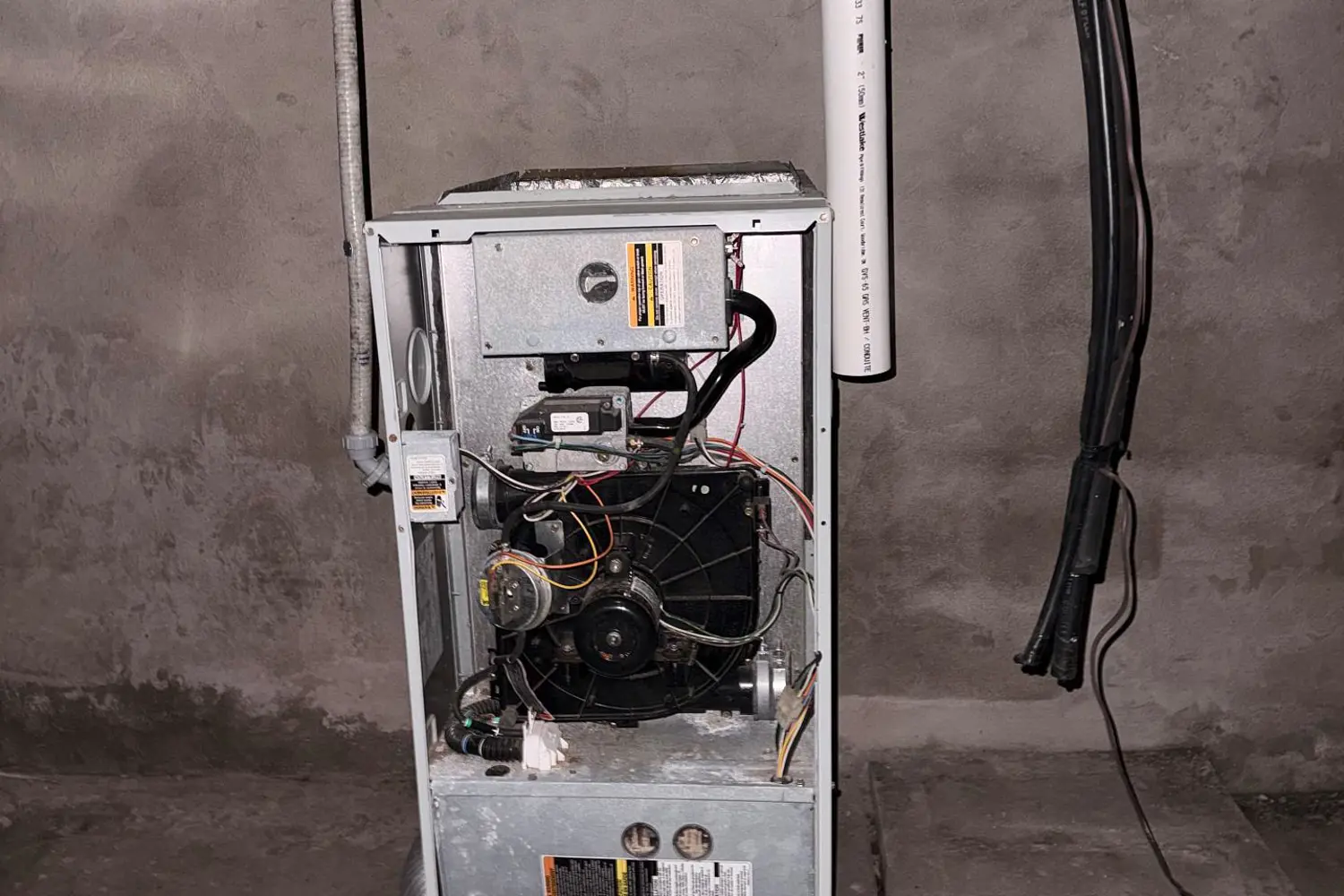 Additional image 19 of 293 Louis Avenue